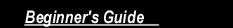Beginner's Guide